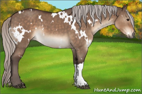 Horse Color:White Spotted Silver Brown Dun 