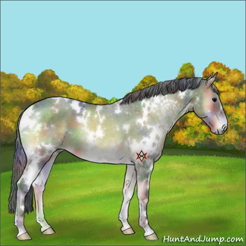 Horse Color:Platinum Nacre White Spotted Bay Onyx 
