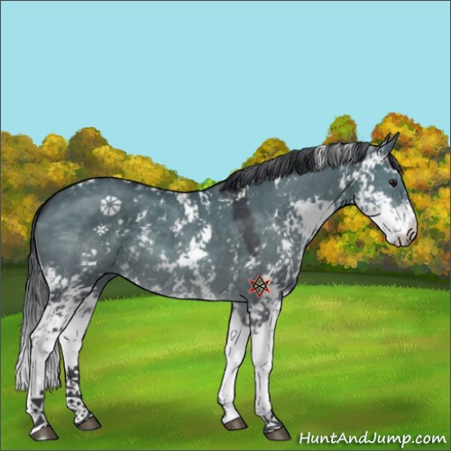 Horse Color:Platinum Brown Dun Sabino 