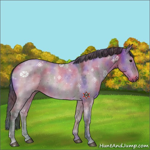 Horse Color:Nacre Brown Dun Sabino 