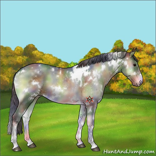 Horse Color:Nacre White Spotted Brown Onyx 