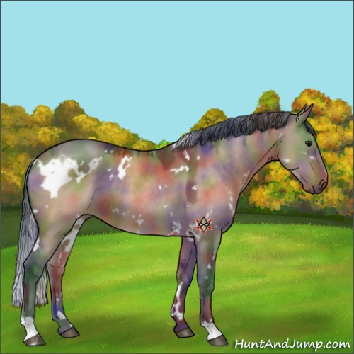 Horse Color:Nacre White Spotted Bay Dun 