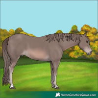 Horse Color:Platinum Chestnut 
