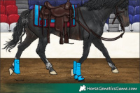 Horse Color:Brown Tobiano