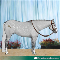 Horse Color:Silver Grullo Chinchilla 