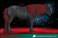 Horse Color:Painted Black Rabicano