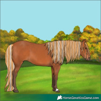 Horse Color:Painted Silver Bay 