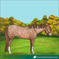 Horse Color:Brown Ice Pearl 