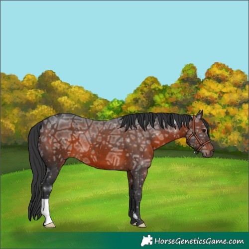 Horse Color:Brown Ice 