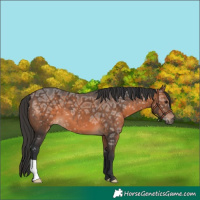 Horse Color:Brown Ice 