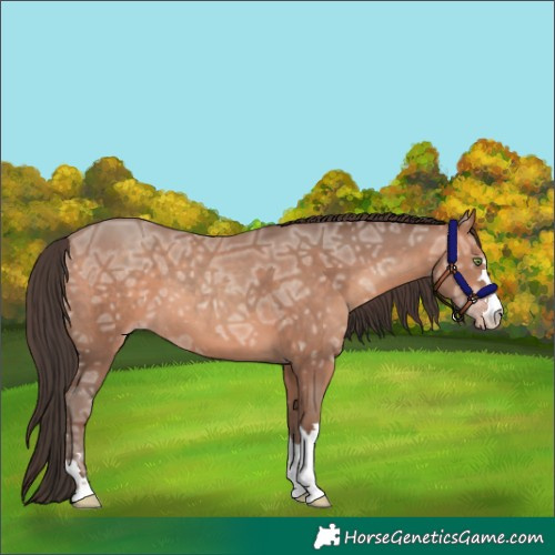 Horse Color:Sable Champagne Ice 