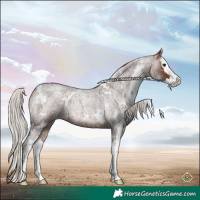Horse Color:White Spotted Silver Brown Roan Splash 
