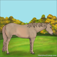 Horse Color:Watercolor Chestnut 
