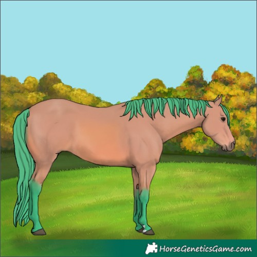 Horse Color:Watercolor Bay 