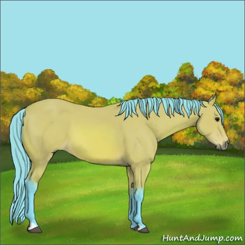 Horse Color:Watercolor Bay 