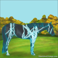 Horse Color:Thunderstruck Black 