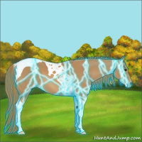 Horse Color:Thunderstruck Chestnut Tobiano