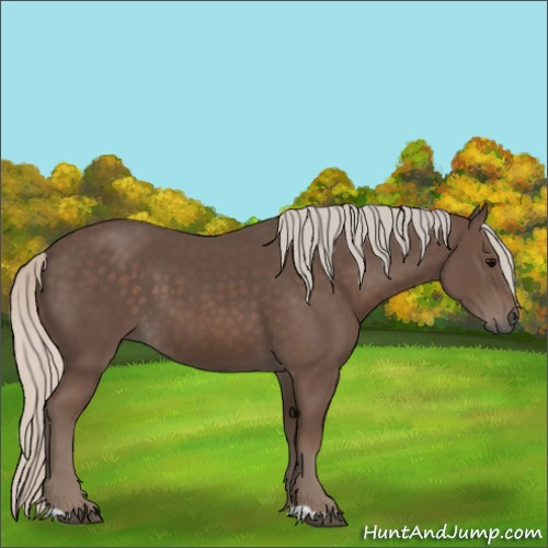 Horse Color:Silver Black 