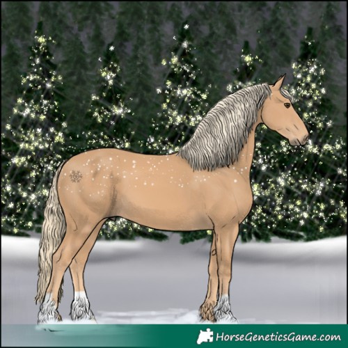 Horse Color:Chestnut Mushroom 