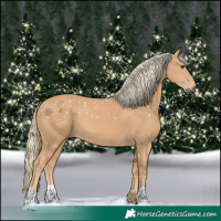 Horse Color:Chestnut Mushroom 