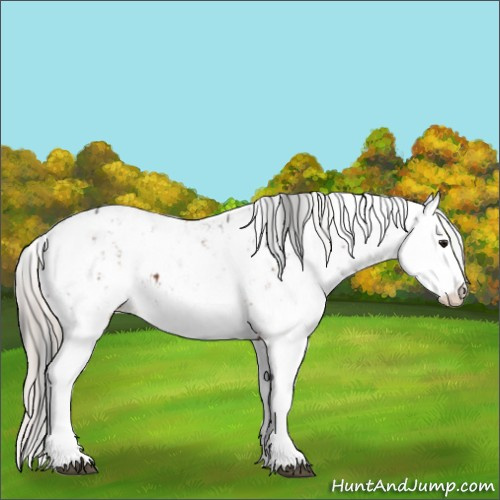 Horse Color:Brown Sabino Splash Near Leopard and Silver Brown Sabino Splash Near Leopard