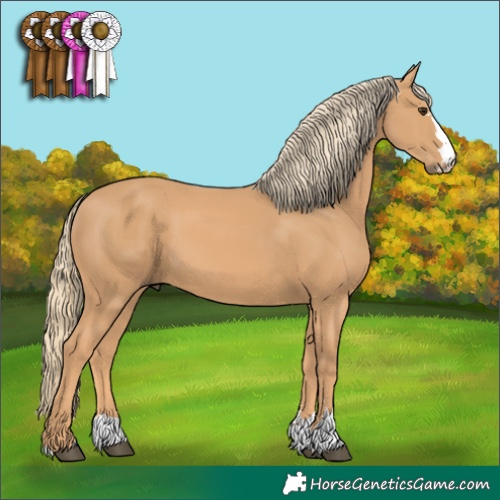 Horse Color:Chestnut Mushroom 