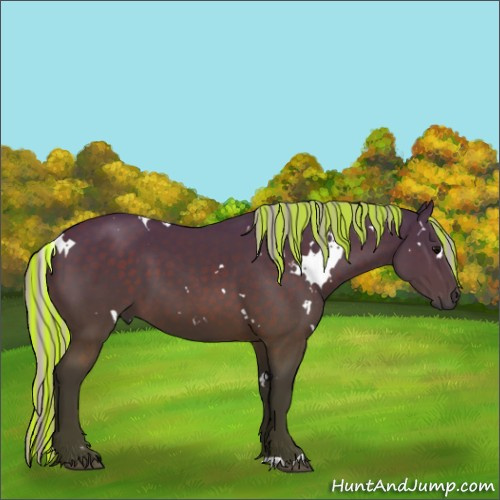 Horse Color:Painted White Spotted Silver Brown 