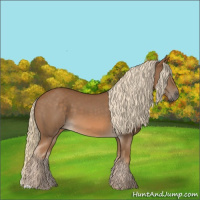 Horse Color:Chocolate Palomino 