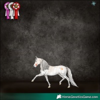 Horse Color:Cremello Dun Sabino Rabicano 