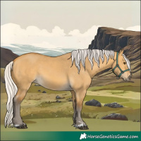 Horse Color:Silver Buckskin Dun 