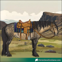 Horse Color:Buckskin 