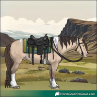 Horse Color:Amber Champagne Dun Tobiano