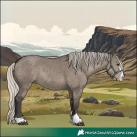 Horse Color:Silver Smoky Grullo 
