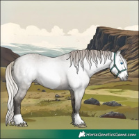 Horse Color:Gray Silver Grullo Roan Frame 