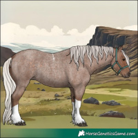 Horse Color:Silver Blue Roan Tobiano 
