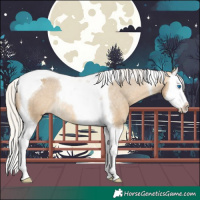Horse Color:Silver Buckskin Dun Splash Tobiano Varnish Rabicano 