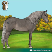 Horse Color:Silver Black 