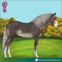 Horse Color:Silver Black 