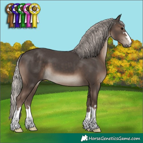 Horse Color:Silver Black 