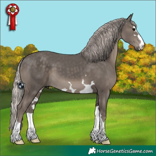 Horse Color:Silver Black 