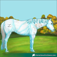 Horse Color:Thunderstruck Bay Dun Sabino Splash Tobiano Appaloosa 