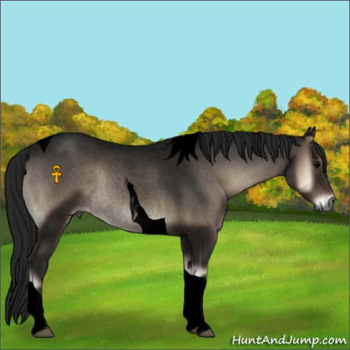 Horse Color:Gray Void Blue Onyx Roan Tobiano 