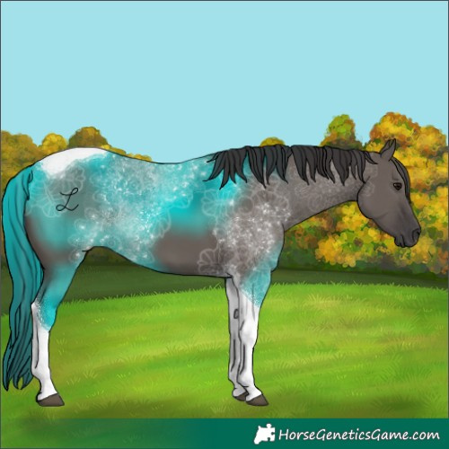 Horse Color:Smoky Grullo Tobiano 