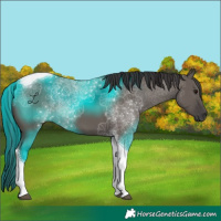 Horse Color:Smoky Grullo Tobiano 