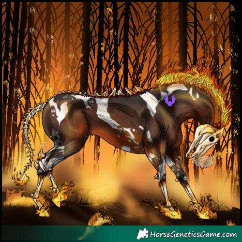 Horse Color:Brown Tobiano 