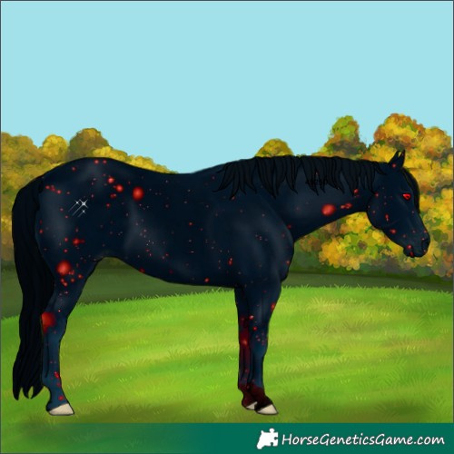 Horse Color:ERROR: UNKNOWN ANOMALY