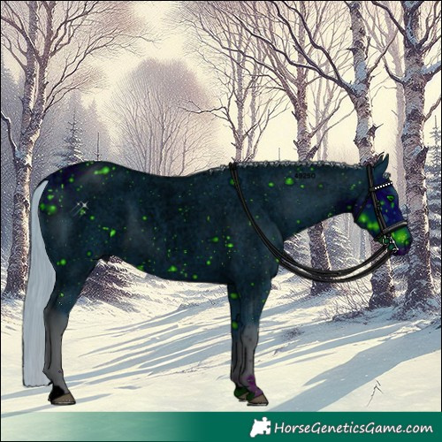 Horse Color:ERROR: UNKNOWN ANOMALY