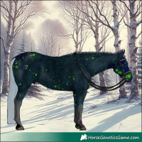 Horse Color:ERROR: UNKNOWN ANOMALY