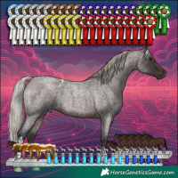 Horse Color:Silver Brown Roan Tobiano