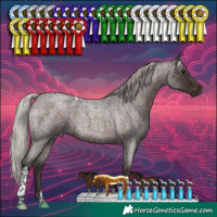 Horse Color:Silver Brown Roan Tobiano 